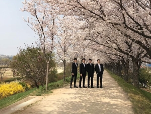 Shen Yun World Company dancers take in the first signs of spring. (Photo by Company Manager Vina Lee)